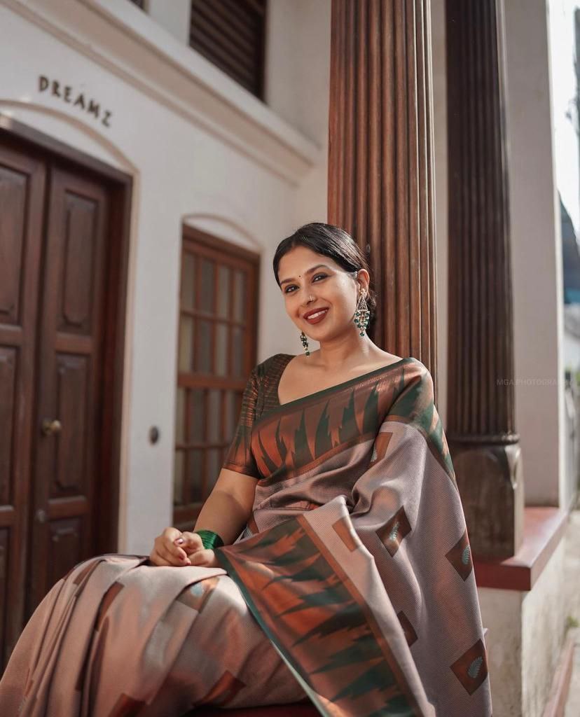 Catalogue Designer Silk Saree