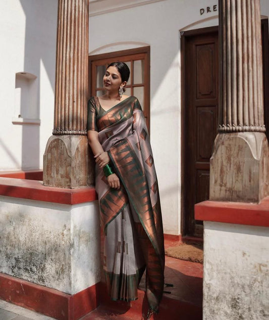 Catalogue Designer Silk Saree