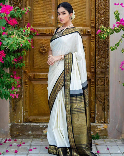 Catalogue Designer Silk Saree