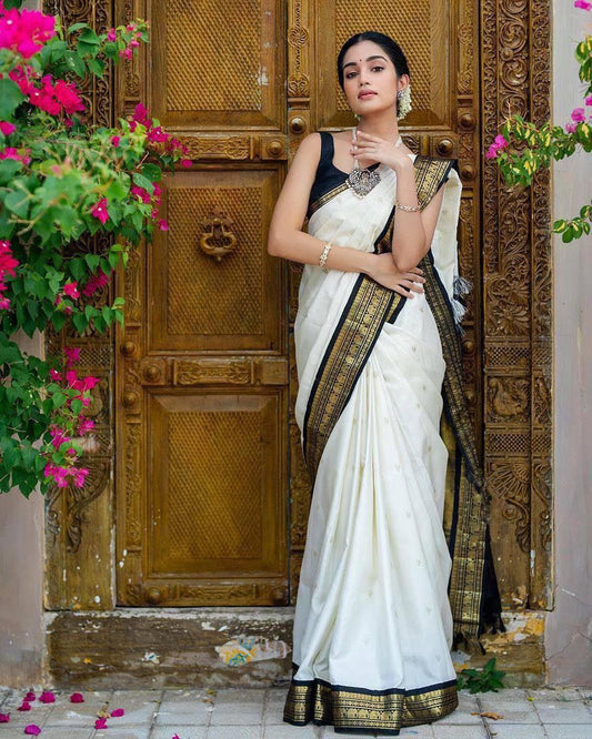 Catalogue Designer Silk Saree