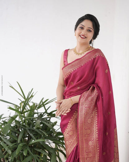 Catalogue Designer Silk Saree