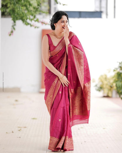 Catalogue Designer Silk Saree