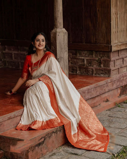 Catalogue Designer Silk Saree