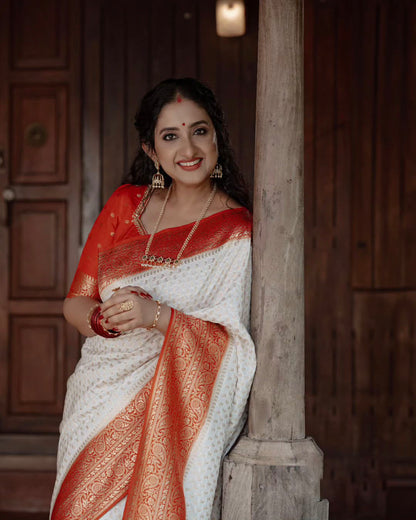 Catalogue Designer Silk Saree