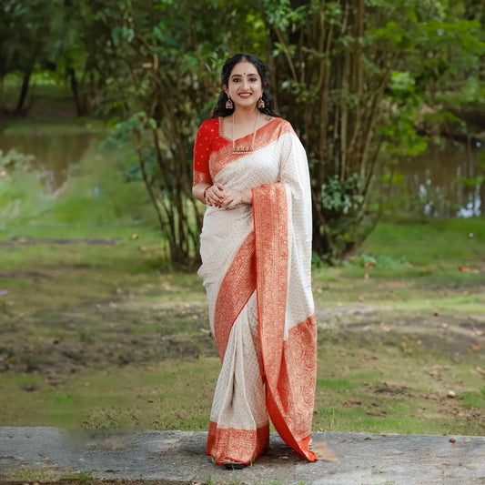 Catalogue Designer Silk Saree