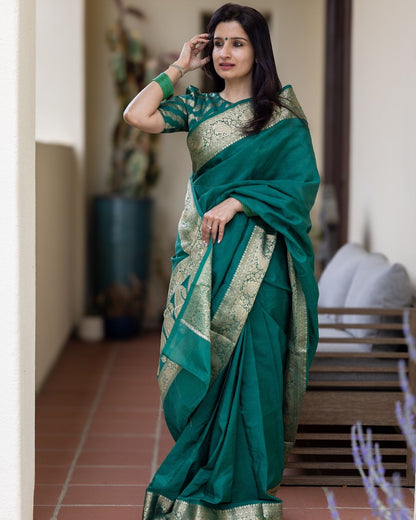 Catalogue Designer Silk Saree
