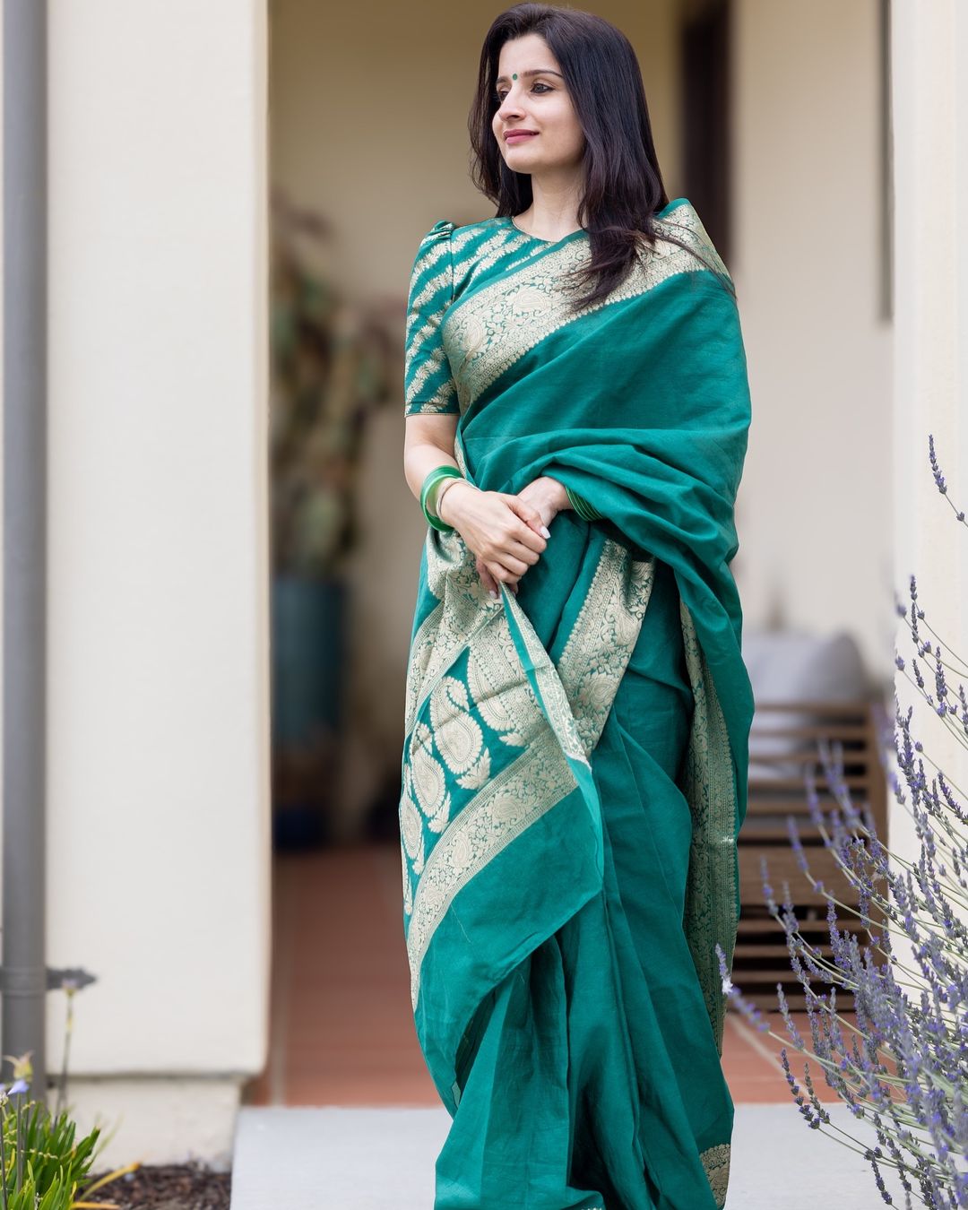 Catalogue Designer Silk Saree
