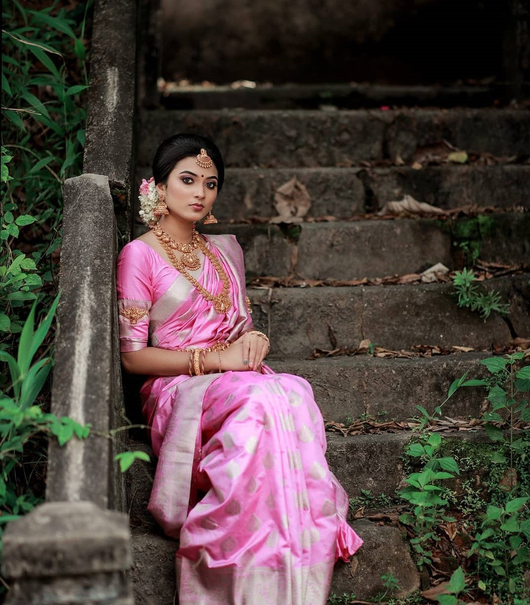 Catalogue Designer Silk Saree