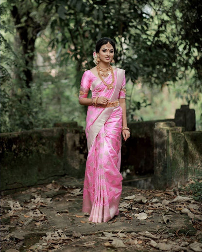 Catalogue Designer Silk Saree