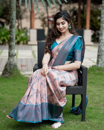 Catalogue Designer Silk Saree