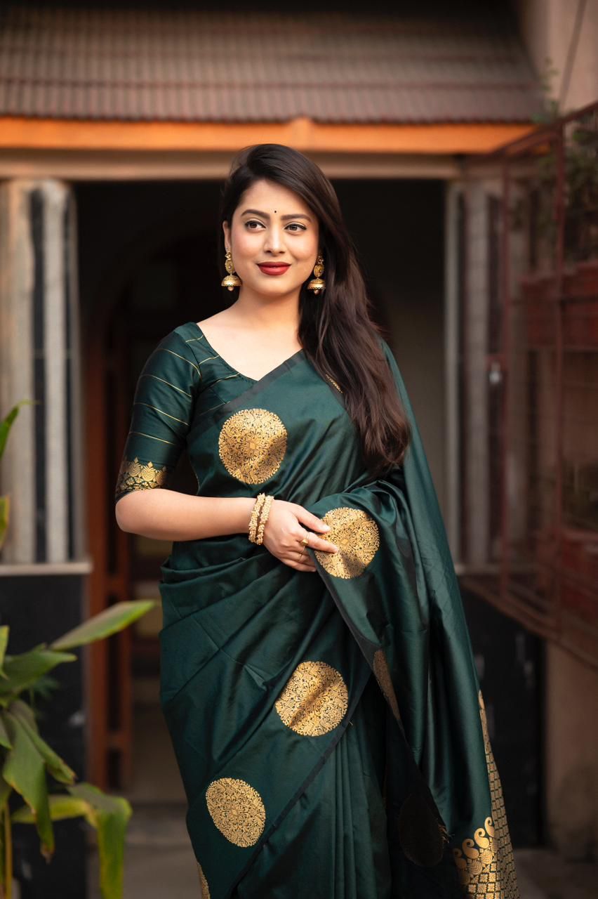 Catalogue Designer Silk Saree