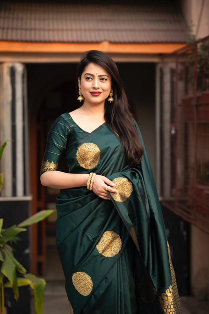 Catalogue Designer Silk Saree