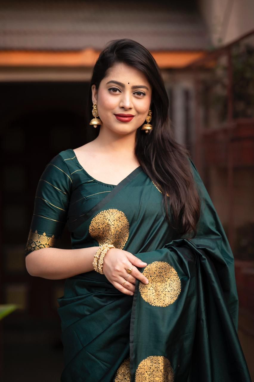 Catalogue Designer Silk Saree