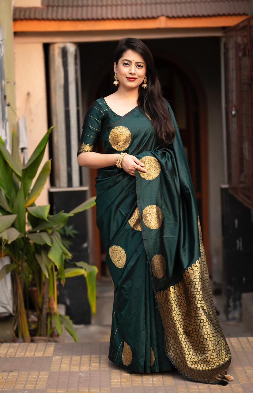 Catalogue Designer Silk Saree