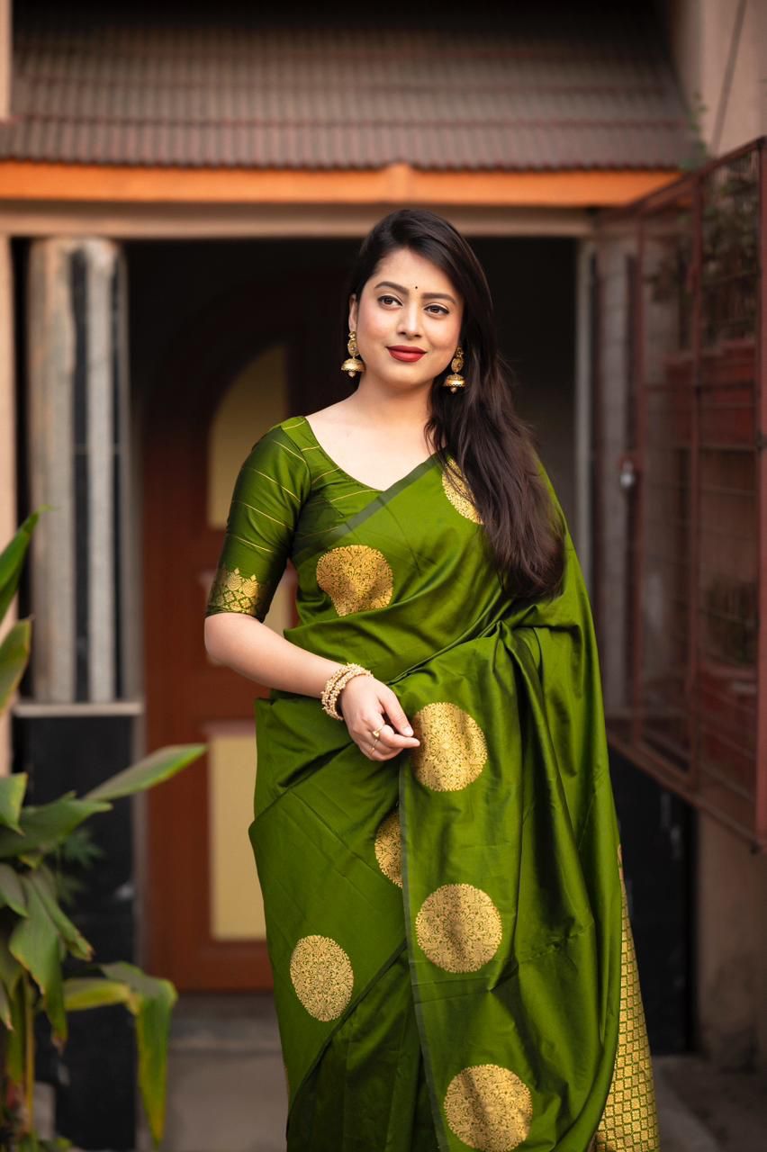 Catalogue Designer Silk Saree