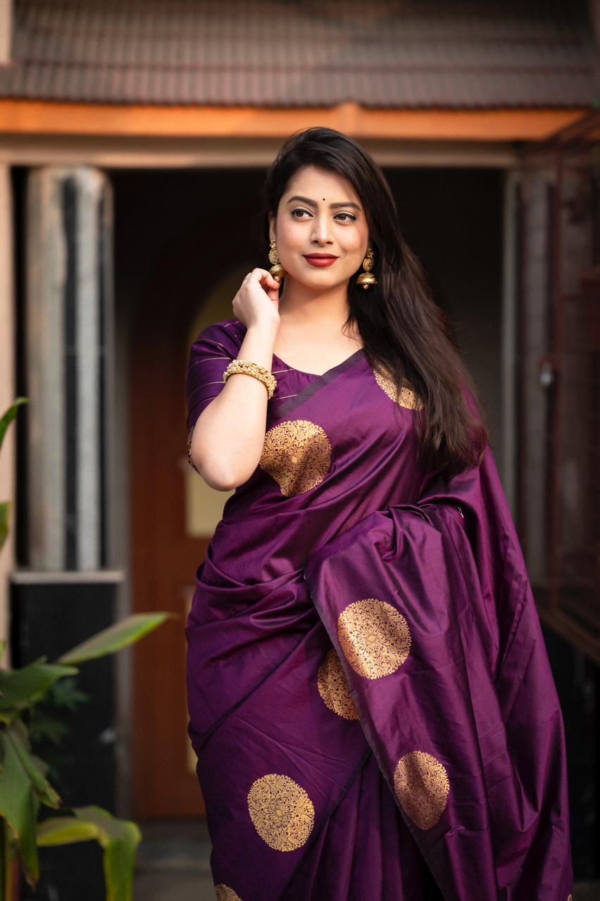 Catalogue Designer Silk Saree