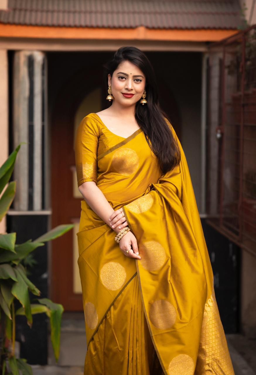 Catalogue Designer Silk Saree