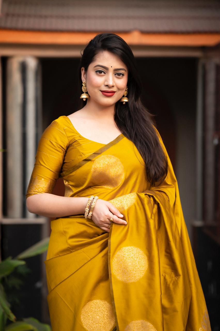Catalogue Designer Silk Saree