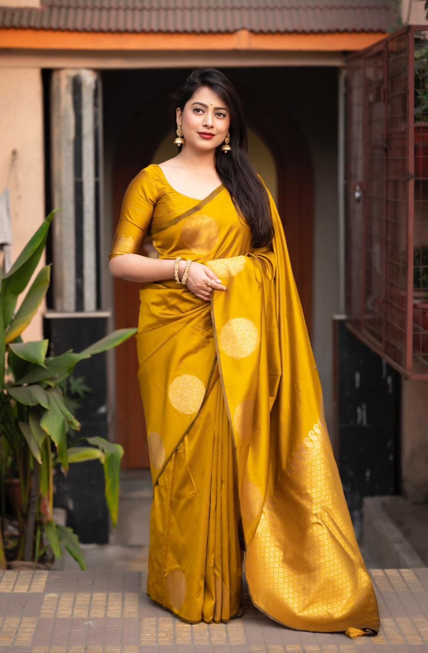 Catalogue Designer Silk Saree