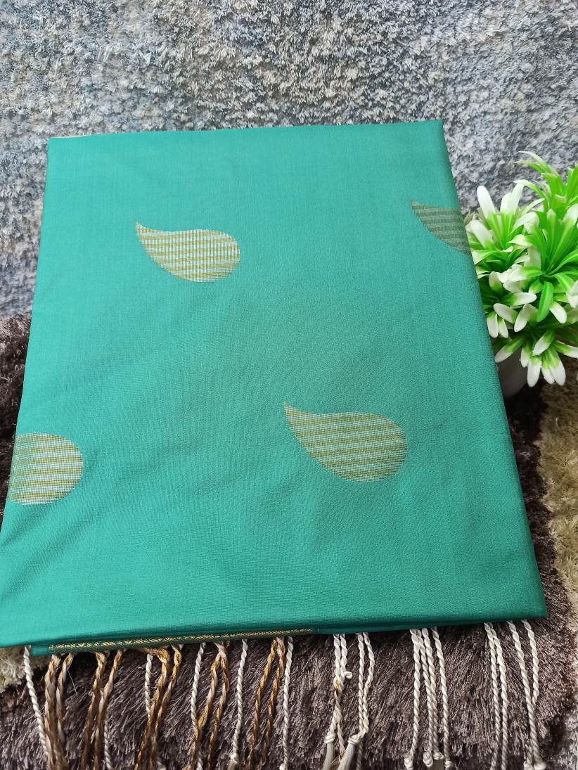 Soft Silk Saree.