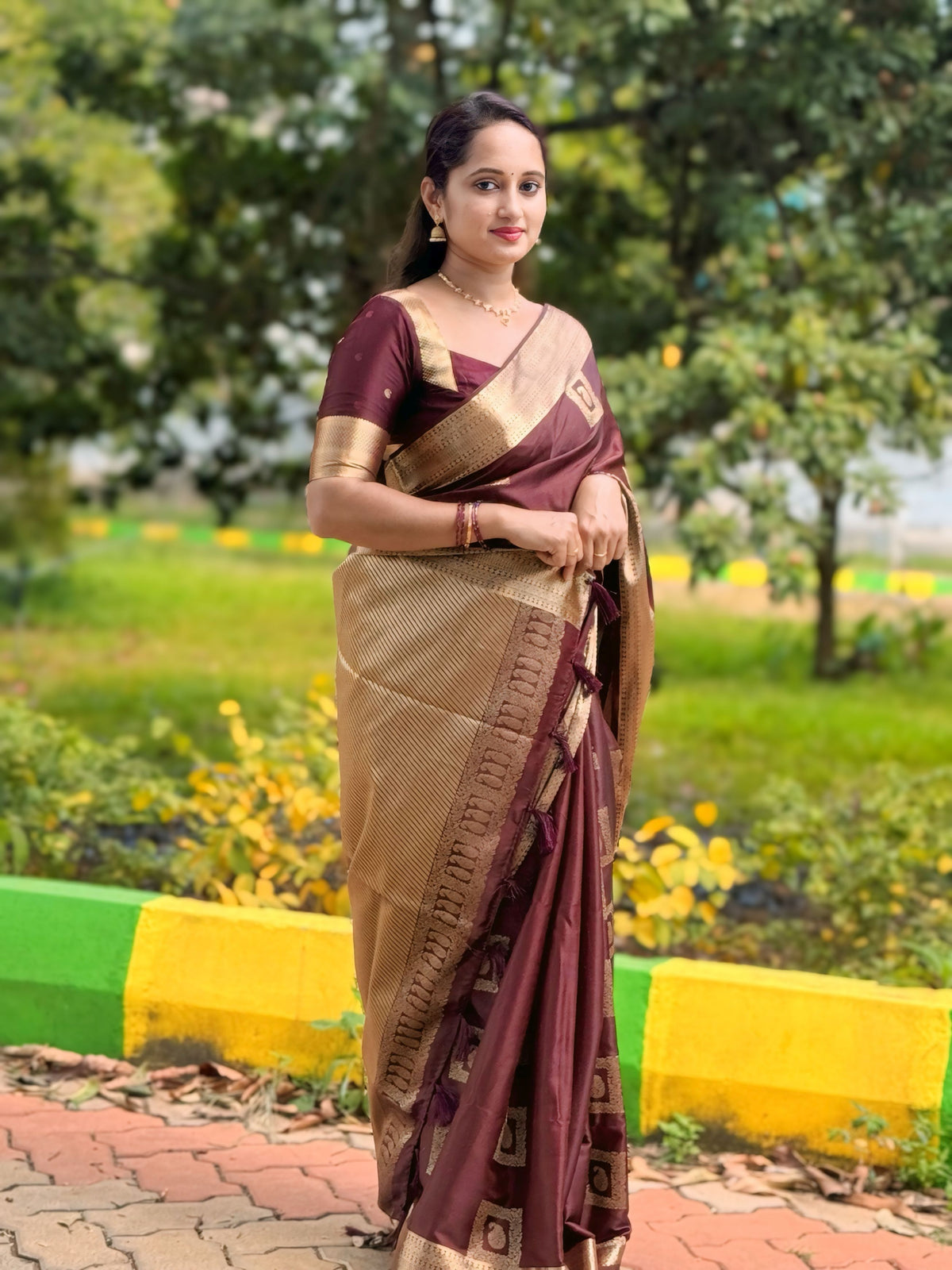 Pure Linen Silk Saree.