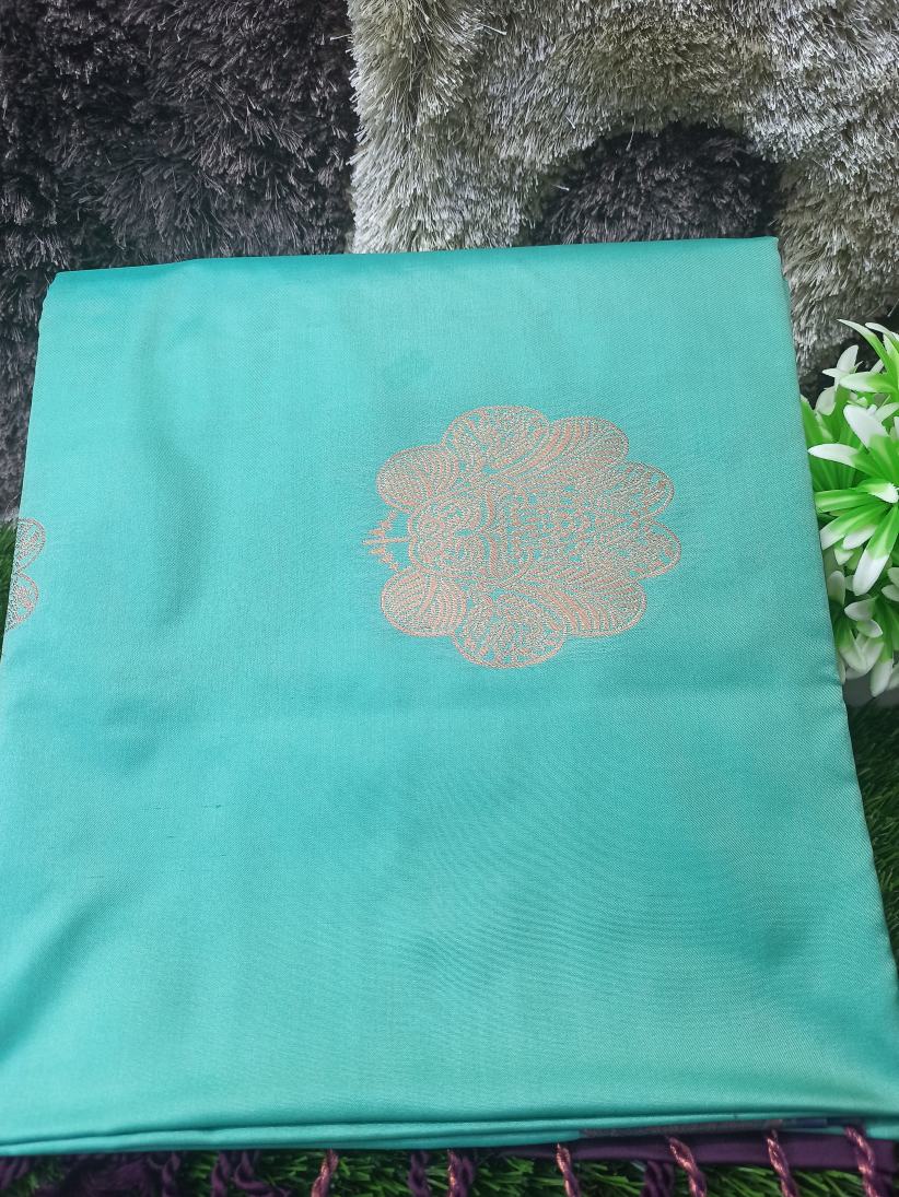 Soft Silk Saree.
