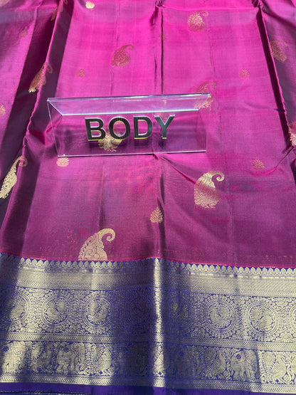 Kanchi Mix Silk Saree