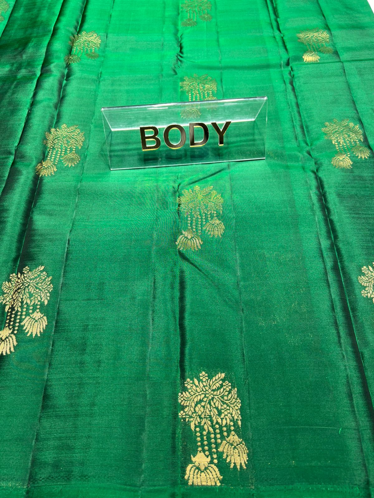 Kanchi Mix Silk Saree