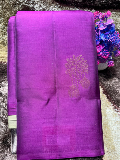 Kanchi Mix Silk Saree