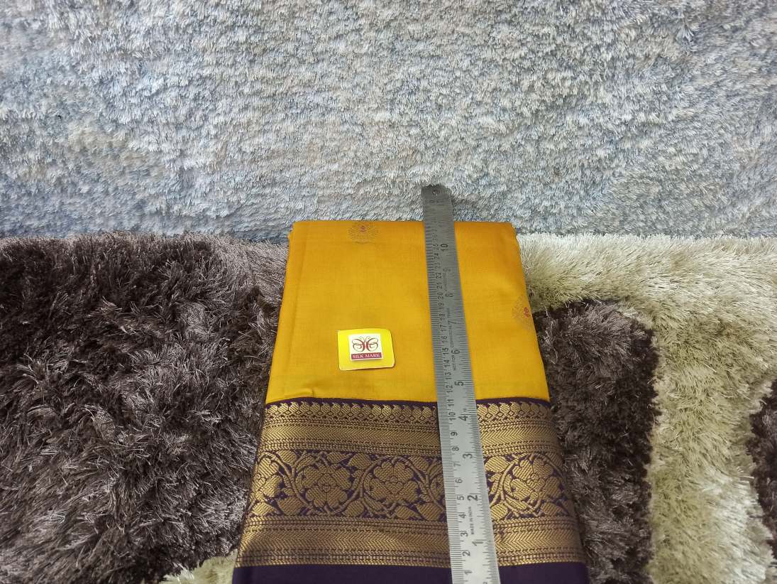 Pure Kanchipuram Silk Saree.