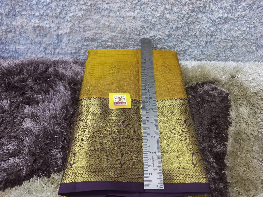 Pure Kanchipuram Silk Saree.