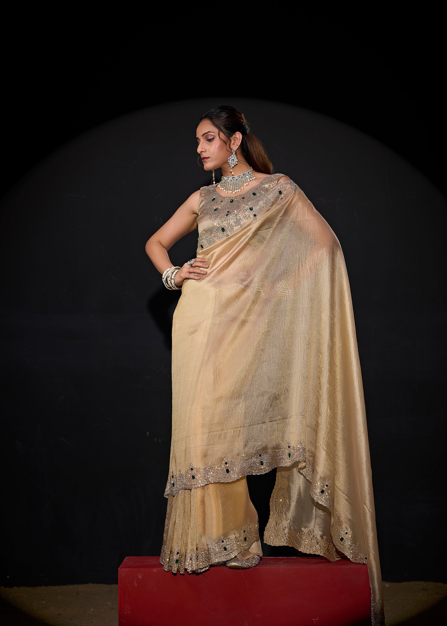 Catalog Designer Saree.