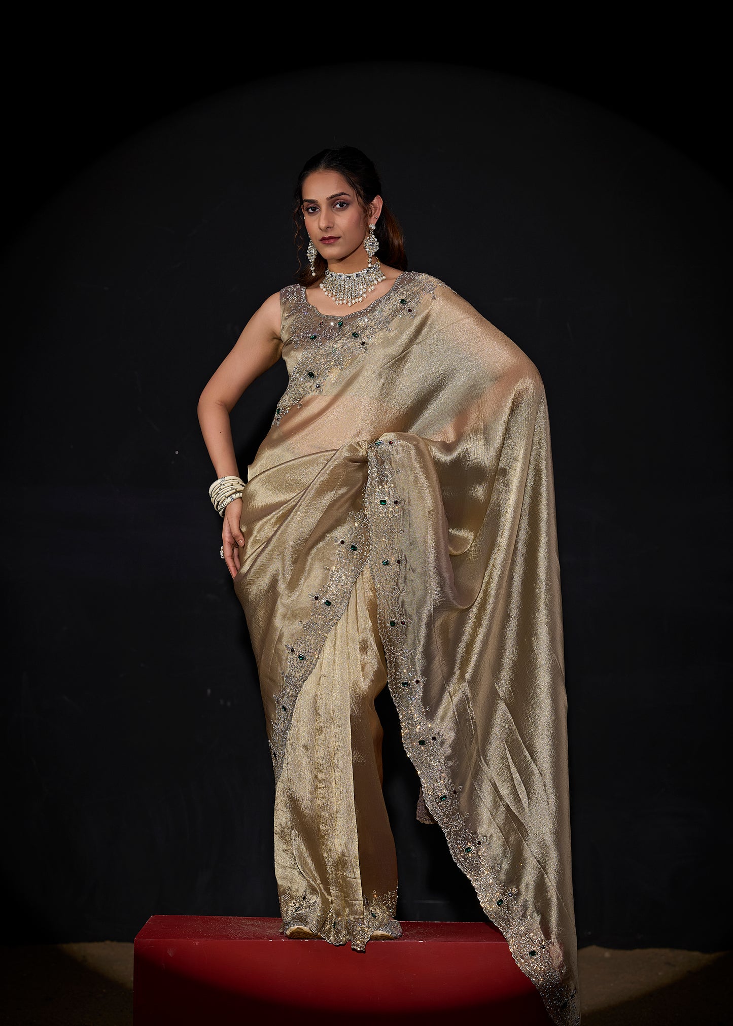 Catalog Designer Saree.