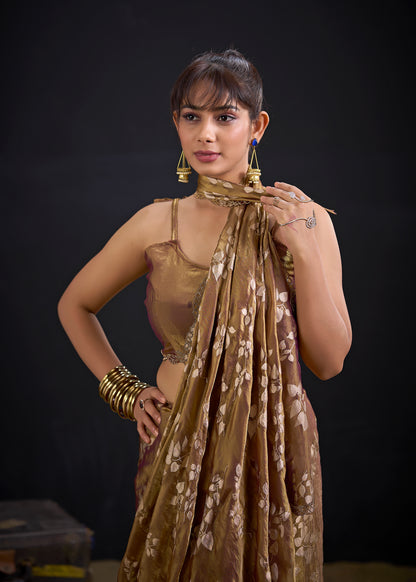 Catalog Designer Saree.
