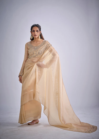Catalog Designer Saree.