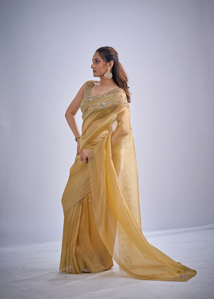 Catalog Designer Saree.