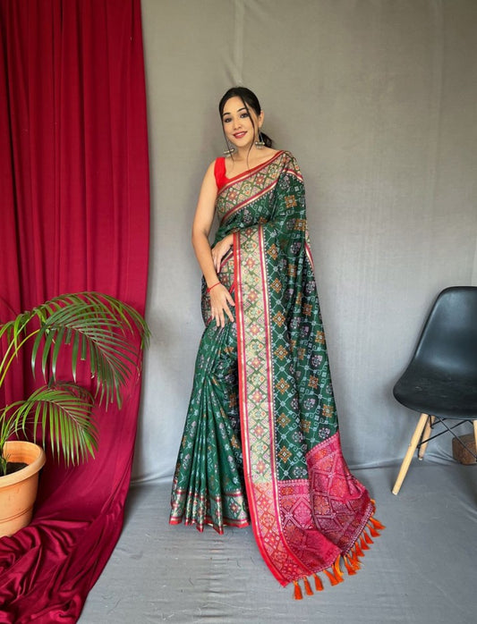 Catalog Designer Saree