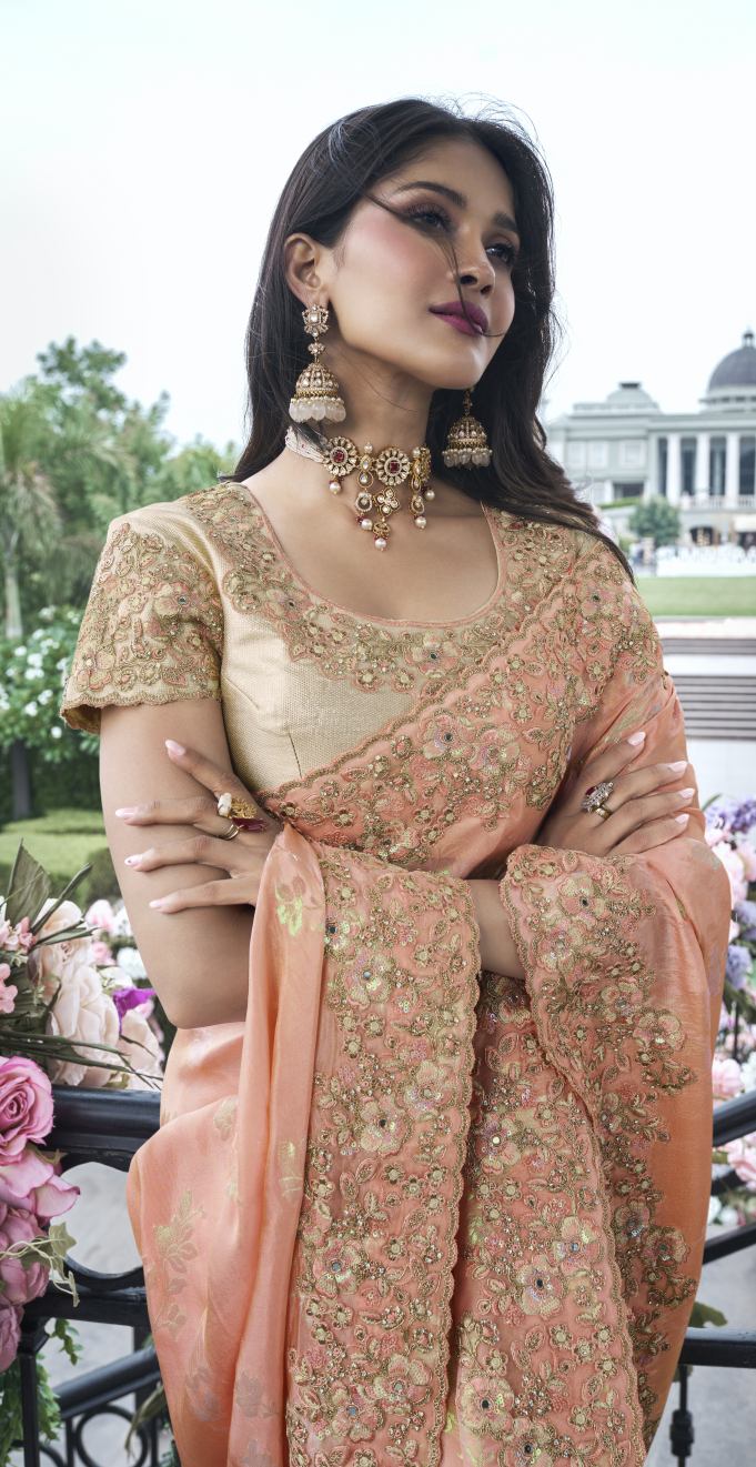 Catalog Designer Saree