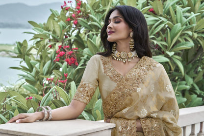 Catalog Designer Saree