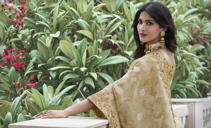 Catalog Designer Saree