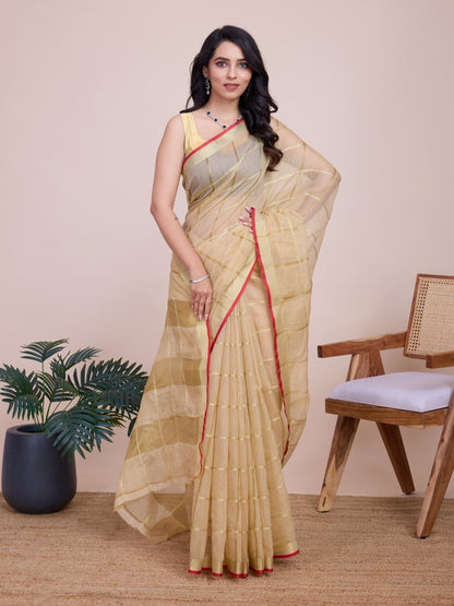 Catalog Designer Saree