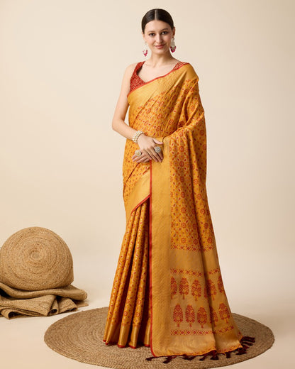 Catalog Designer Saree