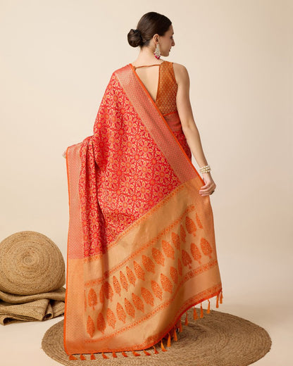 Catalog Designer Saree