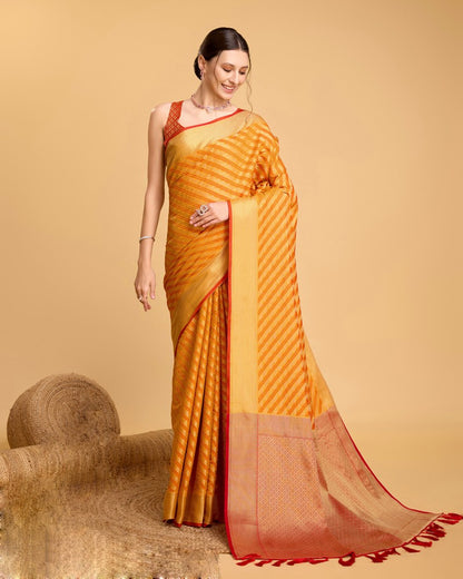 Catalog Designer Saree
