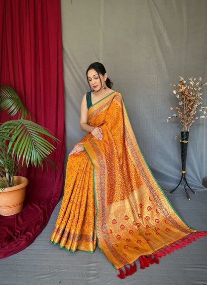 Catalog Designer Saree