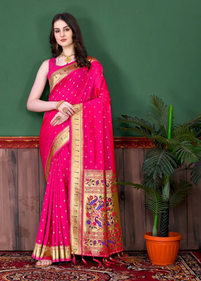 Catalog Designer Saree