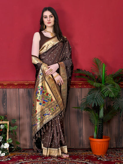Catalog Designer Saree
