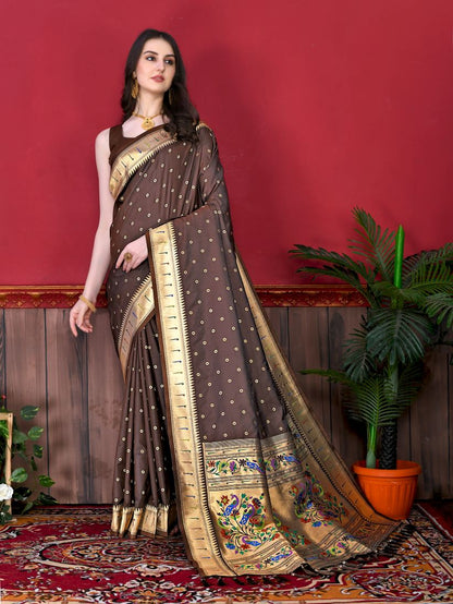 Catalog Designer Saree