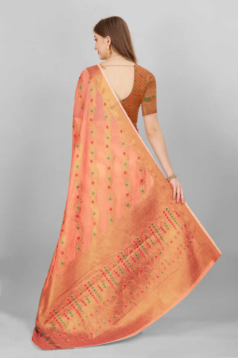 Catalog Designer Saree