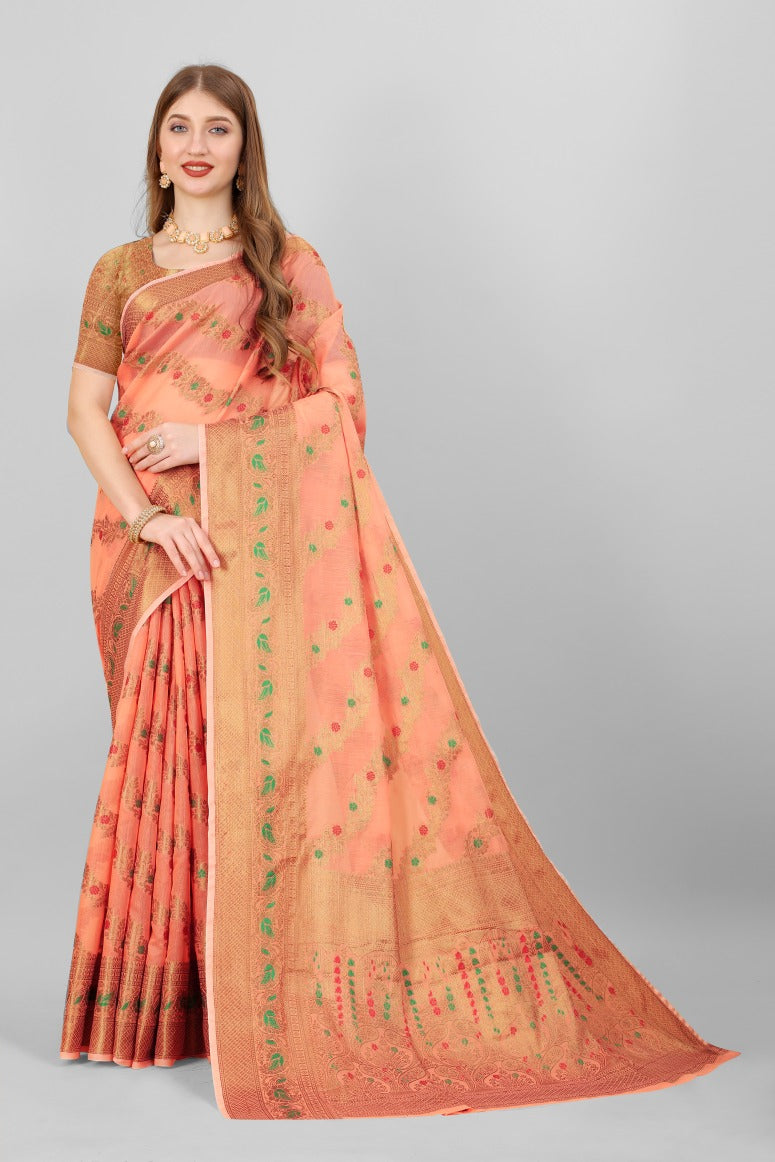 Catalog Designer Saree